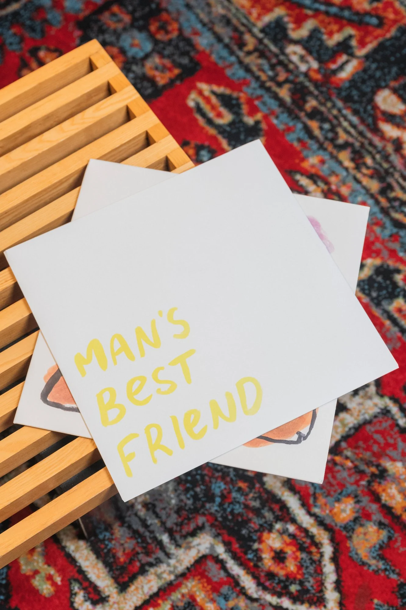 Man's Best Friend Vinyl - Image 7